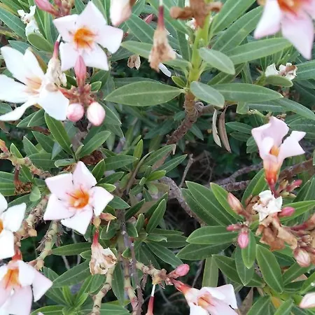 Panorama House Paphos