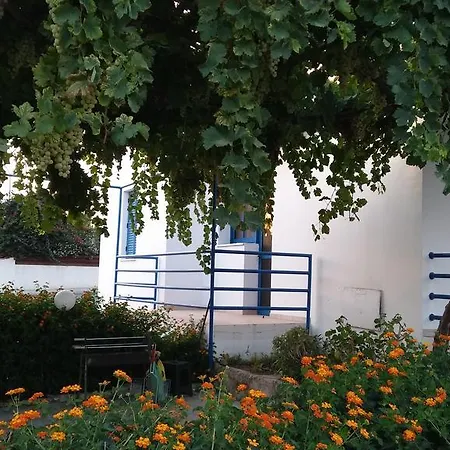 Panorama House بافوس