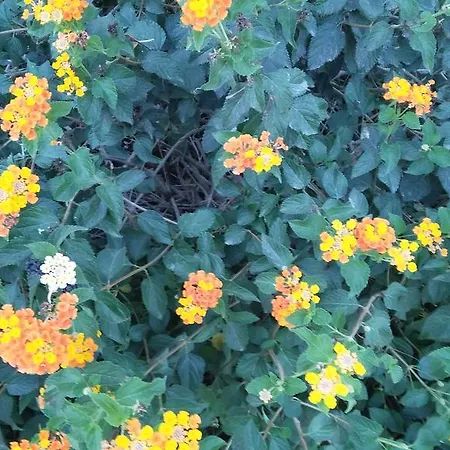 Holiday home Panorama House Paphos
